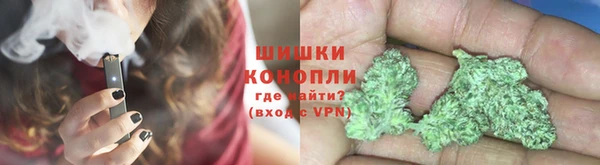 ПСИЛОЦИБИНОВЫЕ ГРИБЫ Верхний Тагил