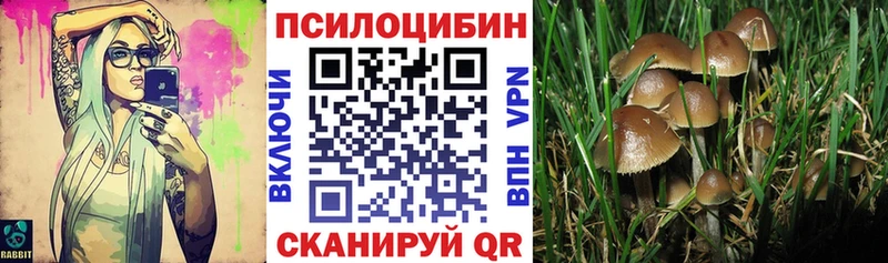 Галлюциногенные грибы GOLDEN TEACHER  Карачаевск 